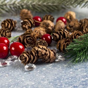 Набор новогоднего декора «Шишки и ягодки»