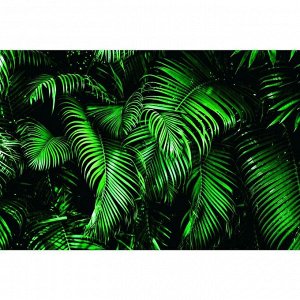 Greengo Фотобаннер, 250 ? 200 см, с фотопечатью, люверсы шаг 1 м, «Зелёные листья»