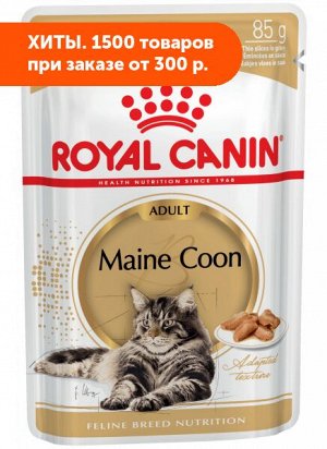 Royal Canin Maine Coon Adult влажный корм для котов породы Мэйн Кун Соус 85гр пауч