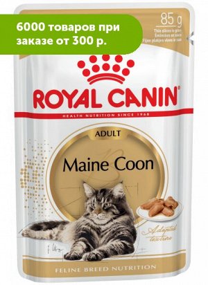 Royal Canin Maine Coon Adult влажный корм для котов породы Мэйн Кун Соус 85гр пауч