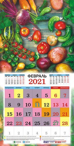 БОЛЬШОЙ перекидной настенный календарь на скрепке на 2021 год "Садово-огородный"