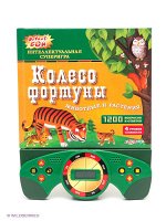 Колесо фортуны