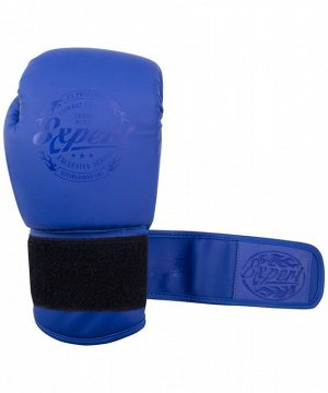 Перчатки боксерские FIGHT EXPERT BGS-V010, синий, 10 oz