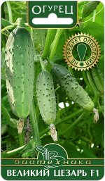 Огурец Великий Цезарь F1 8 шт.Гибрид отличается быстрым и мощным начальным ростом растения.