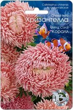 Астра китайская Хризантелла Коралл 30 шт