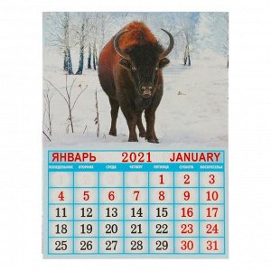 Календарь на магните, отрывной "Корова в венке" 2021 год, 10х13 см