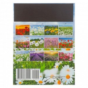 Календарь на магните, отрывной "Полевые цветы" 2021 год, 10х13 см