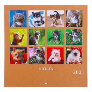 Календарь, перекидной, скрепка "Котята" 2021 год, 22,5х22,5 см