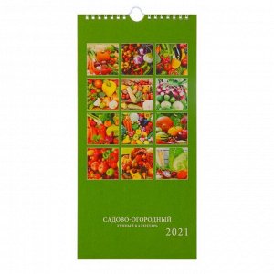 Календарь настенный перекидной, на ригеле "Садово-огородный лунный" 2021 год, 16,5х33,6 см