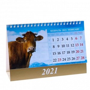 Календарь домик "Символ года. Вид 2" 2021 год, 20х14 см