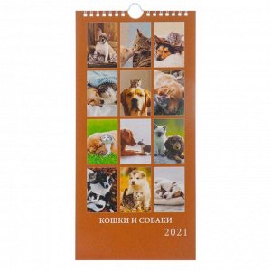 Календарь настенный перекидной, на ригеле "Кошки и собаки" 2021 год, 16,5 х 33,6 см