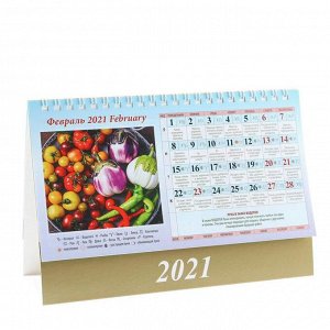 Календарь домик "Садово-огородный лунный" 2021год, 20х14 см