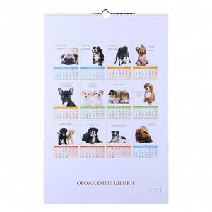 Календарь перекидной на ригеле "Забавные щенки" 2021 год, 320х480 мм