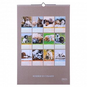 Календарь перекидной на ригеле "Кошки и собаки" 2021 год, 320х480 мм