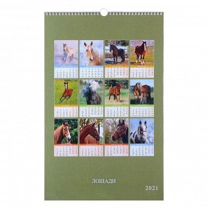 Календарь перекидной на ригеле "Лошади" 2021 год, 320х480 мм