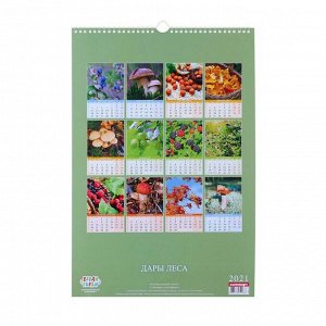 Календарь перекидной на ригеле "Дары леса" 2021 год, 320х480 мм