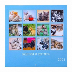 Календарь перекидной на скрепке "Кошки и котята" 2021 год, 285х285 мм