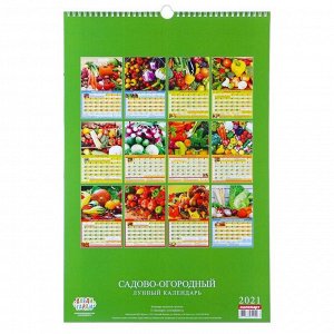 Календарь перекидной на ригеле "Садово-огородный лунный календарь" 2021 год, 320х480 мм