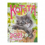 Календарь на магните, отрывной &quot;Котята&quot; 2021 год, 10х13 см