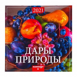 Календарь, перекидной, скрепка "Дары природы" 2021 год, 22,5х22,5 см