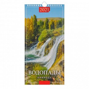 Календарь настенный перекидной, на ригеле "Водопады" 2021 год, 16,5 х 33,6 см