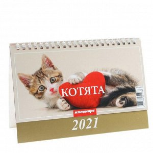 Календарь домик "Котята" 2021год, 20х14 см