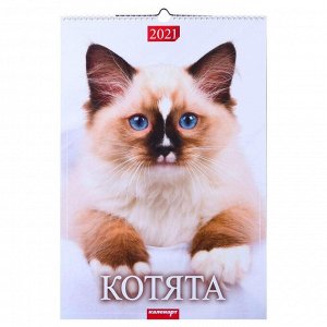 Календарь перекидной на ригеле "Котята" 2021 год, 320х480 мм