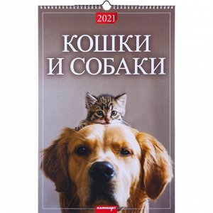 Календарь перекидной на ригеле "Кошки и собаки" 2021 год, 320х480 мм