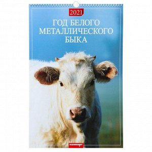 Календарь перекидной на ригеле "Год Белого Металлического Быка" 2021 год, 320х480 мм