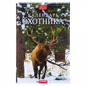 Календарь перекидной на ригеле "Календарь охотника" 2021 год, 320х480 мм