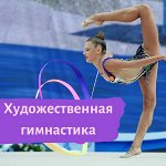 Художественная гимнастика