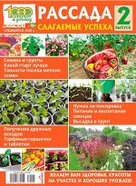 ПИ 1000 советов дачнику с/в №1(176)/2020 РАССАДА выпуск 2
