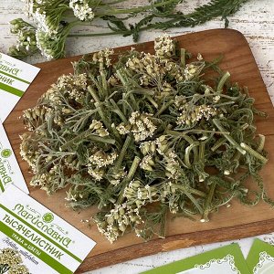 Тысячелистник (трава и цветы) 50 гр