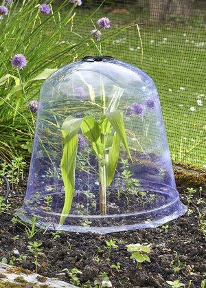 Пластиковый колпак для укрытия растений Jumbo Bell Smart Garden