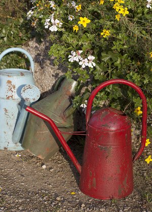 Лейка садовая для цветов 5 л. Vintage Red Esschert Design