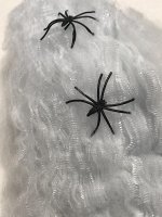 Паутина с пауками