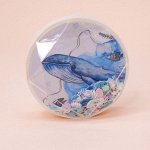 Контейнер для линз &quot;Whale&quot;, white fish