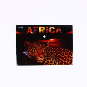 Папка на кнопке а4 150мкм "africa"