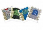 220-810 Комплект футболка с рукавом реглан+шорты