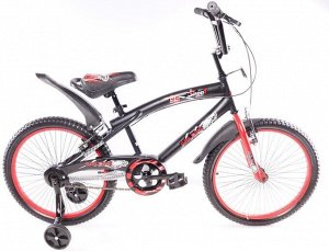 Велосипед детский 2-х колесный SAIL 20 д. TC-17213 красный