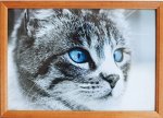 Фоторамка  деревянная 15*20 No Name клен