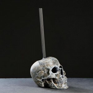 Ёршик для унитаза с подставкой «Череп», стальная ручка, 16x15x22 см, белый