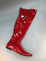Сапоги-ботфорты
