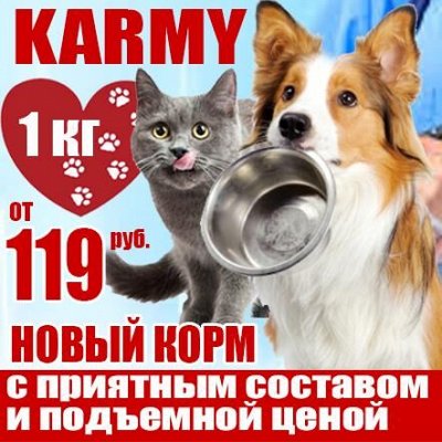 KARMY / ZооRING / ЛАКОМСТВА - для счастливой жизни питомца 🐶