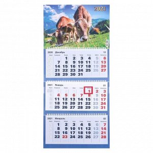 Календари квартальные трио "Символ года, 2021-10" 31 х 69 см