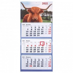 Календари квартальные трио "Символ года, 2021-2" 31 х 69 см