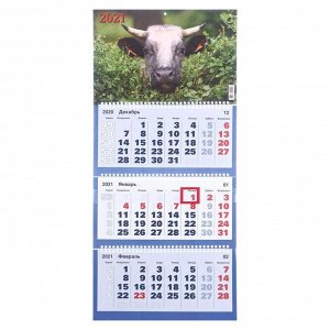 Календари квартальные трио "Символ года, 2021-4" 31 х 69 см