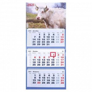 Календари квартальные трио "Символ года, 2021-5" 31 х 69 см