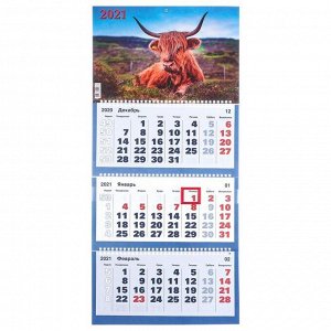 Календари квартальные трио "Символ года, 2021-6" 31 х 69 см