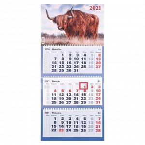 Календари квартальные трио "Символ года, 2021-3" 31 х 69 см